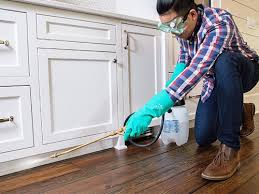 Best Real Estate Pest Inspections  in USA